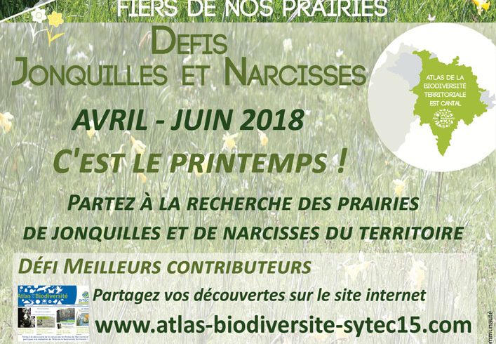 Atlas de la Biodiversité Territoriale : les défis « Jonquilles et Narcisses » !