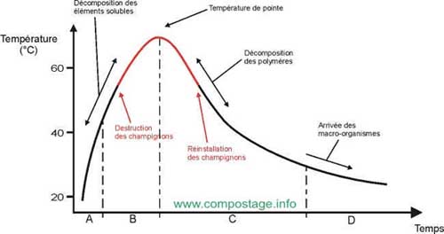 doc_04_phases_temperature