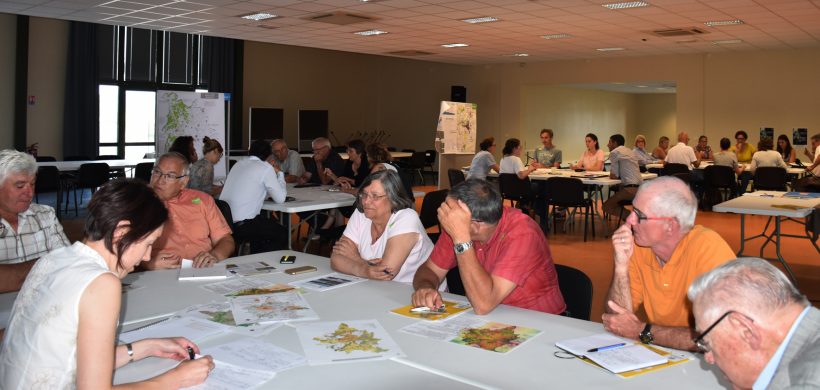 Elaboration du SCoT Est Cantal : ateliers du Projet d’Aménagement et de Développement Durables (PADD)